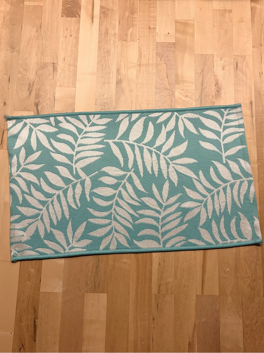 Aqua Leaf Indoor/Outdoor Door Mat